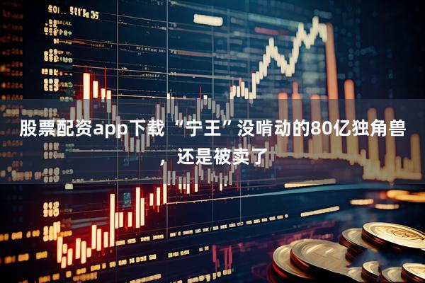 股票配资app下载 “宁王”没啃动的80亿独角兽，还是被卖了