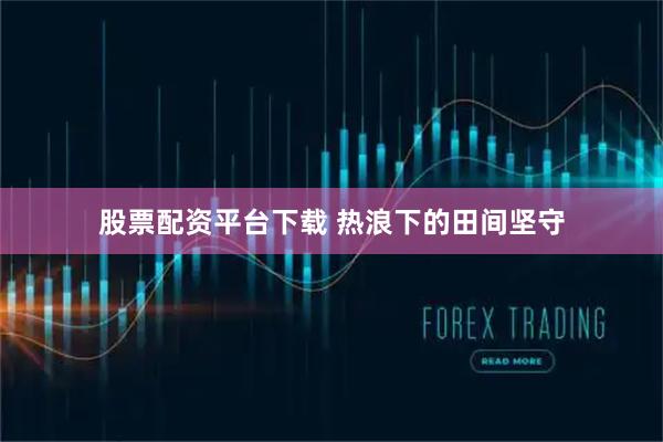 股票配资平台下载 热浪下的田间坚守